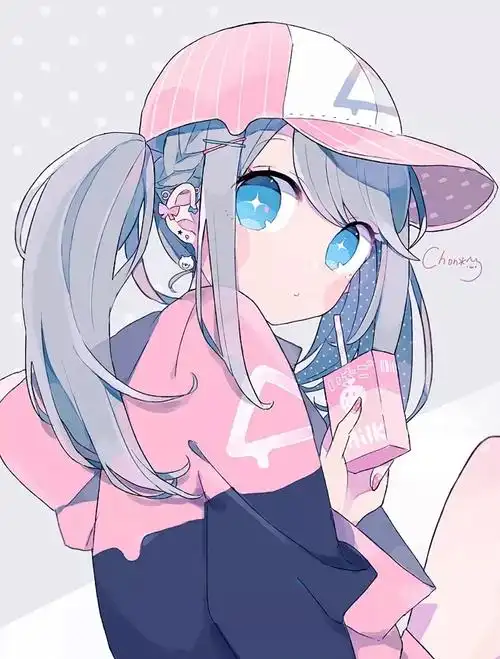 白鸟之诗